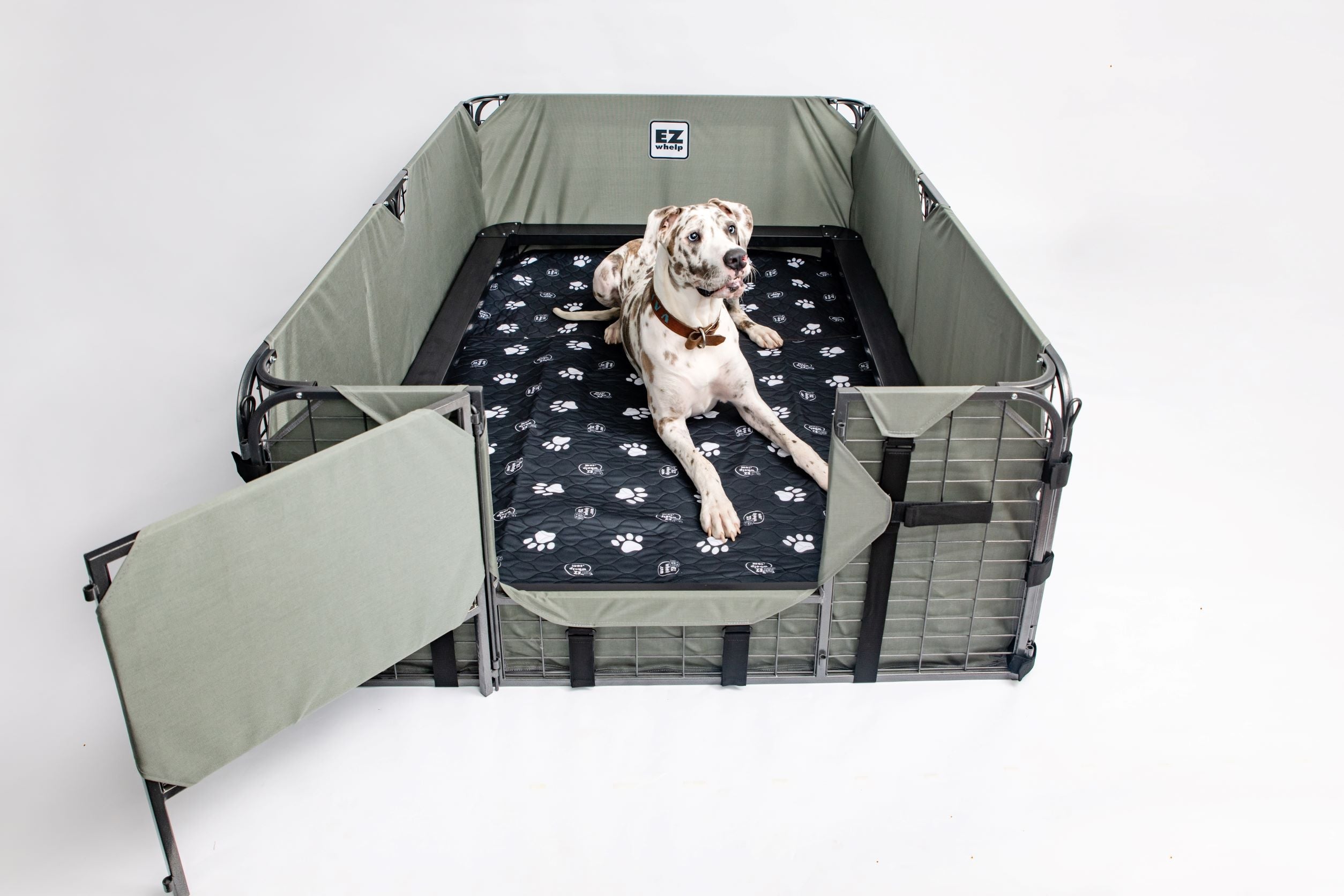 4-Layer Washable Paw Print Pet Pads, Waterproof, 2-Pack