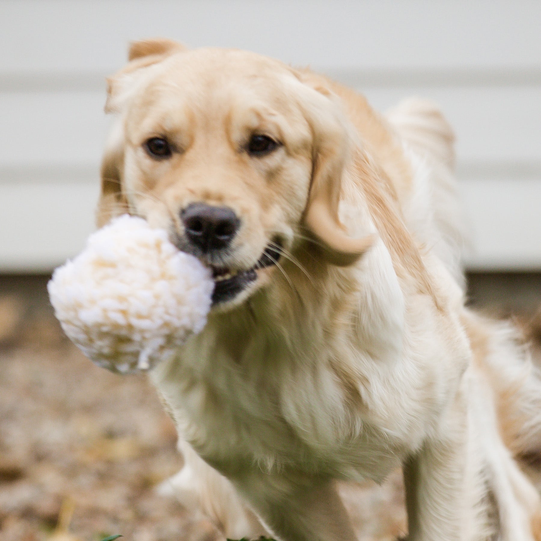 HuggleFleece Ball Plush Dog Toy – Synthetic Lambswool, Small or Large
