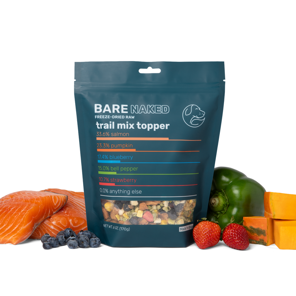 Salmon Trail Mix Freeze-Dried Dog Food Topper, 5 Ingredients