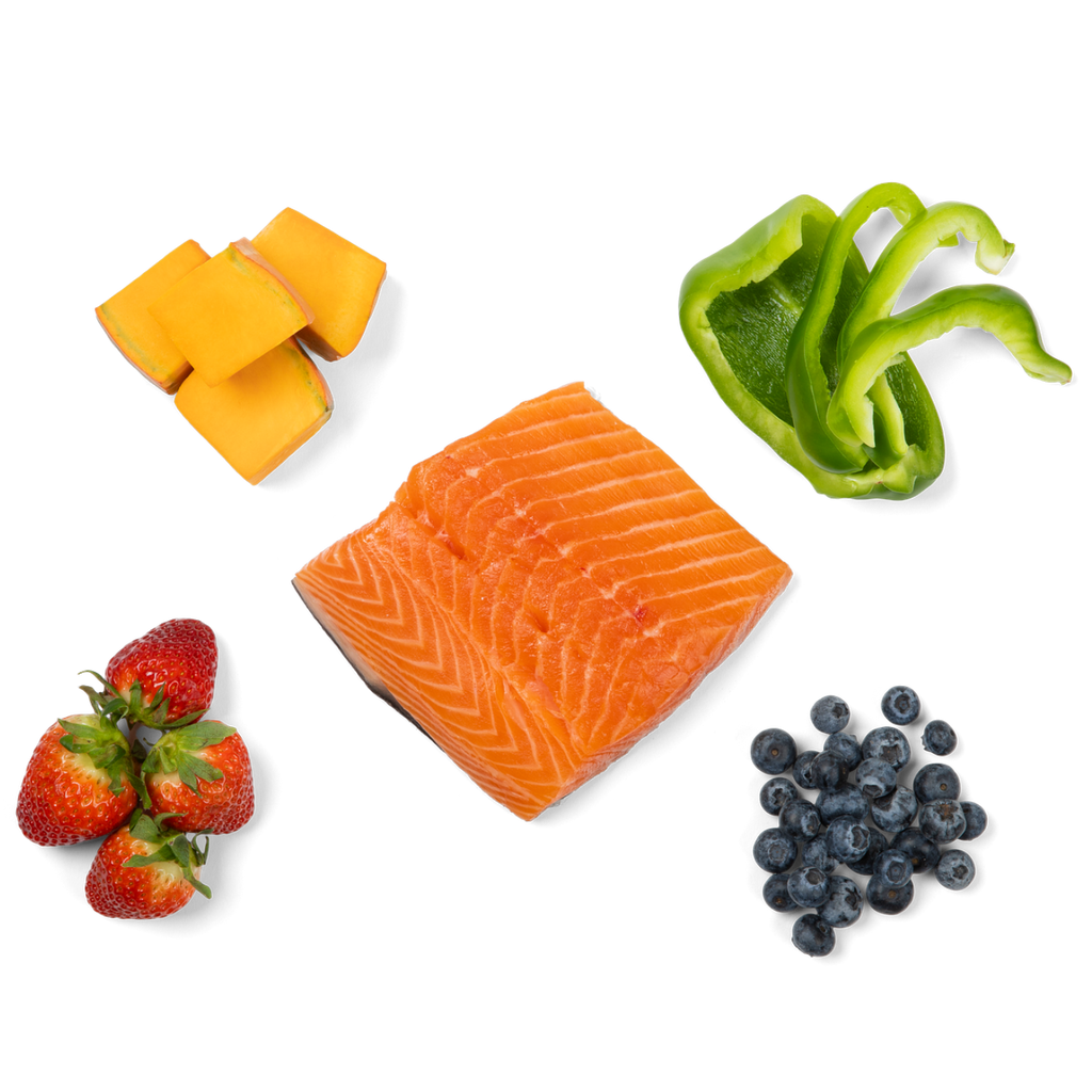 Salmon Trail Mix Freeze-Dried Dog Food Topper, 5 Ingredients