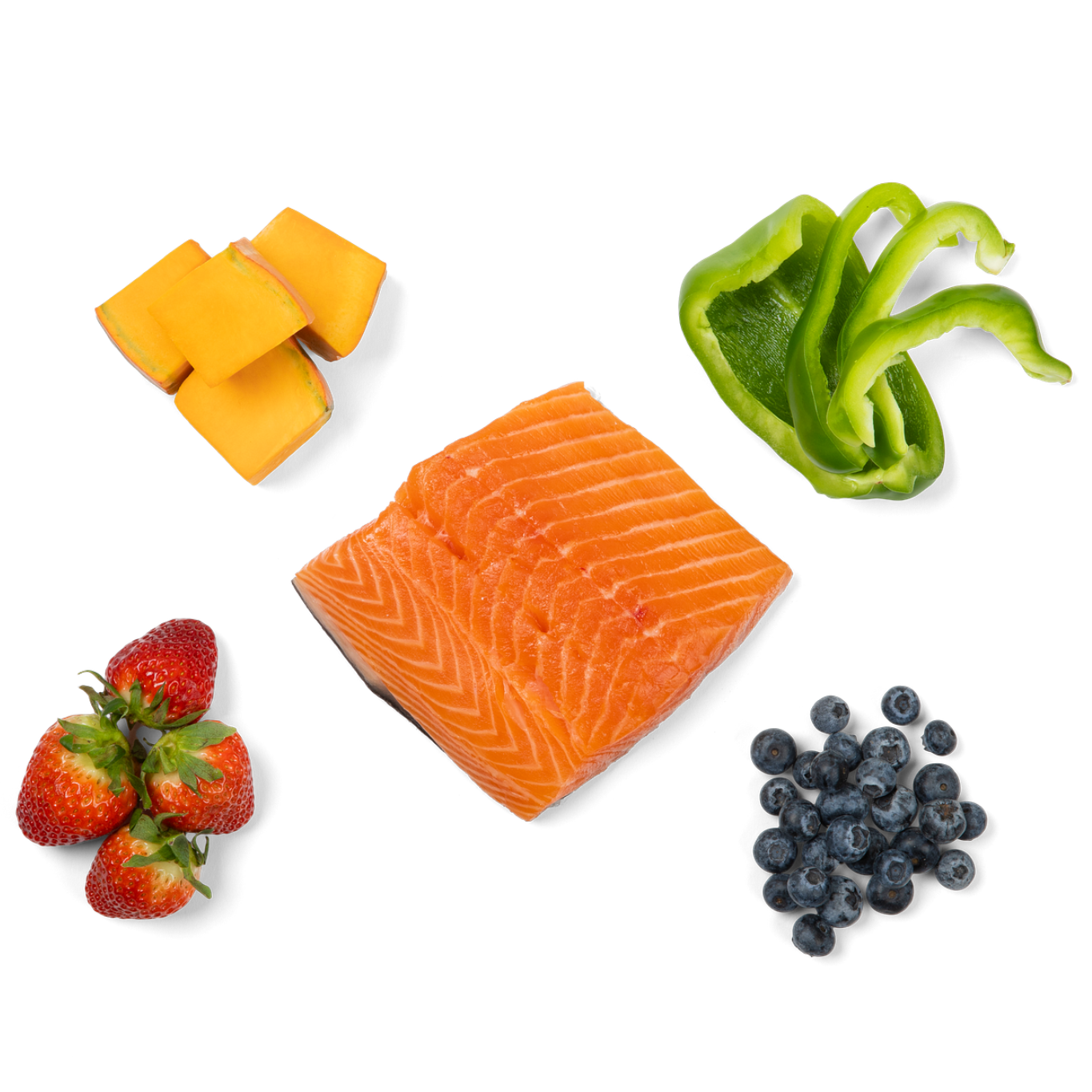 Salmon Trail Mix Freeze-Dried Dog Food Topper, 5 Ingredients