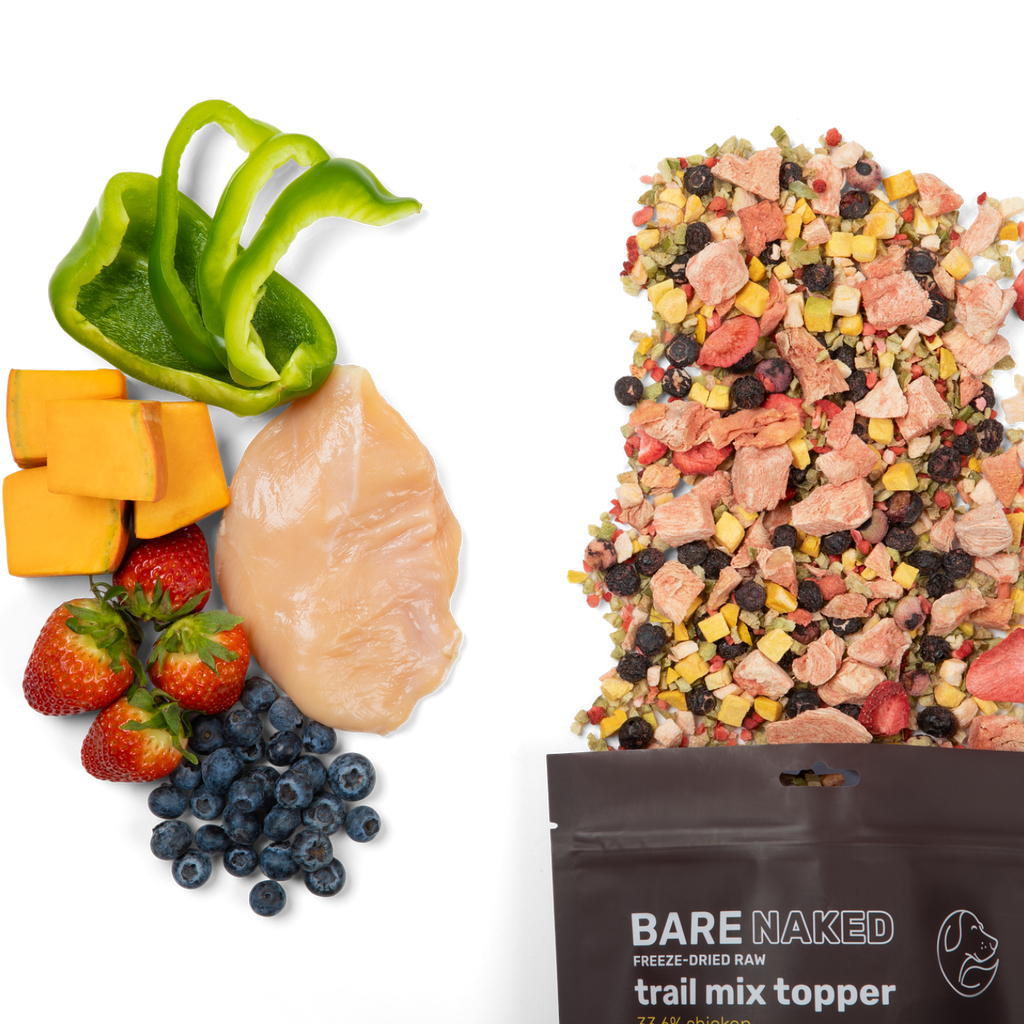 Chicken Trail Mix Topper for Dogs – Freeze-Dried, 5 Ingredients