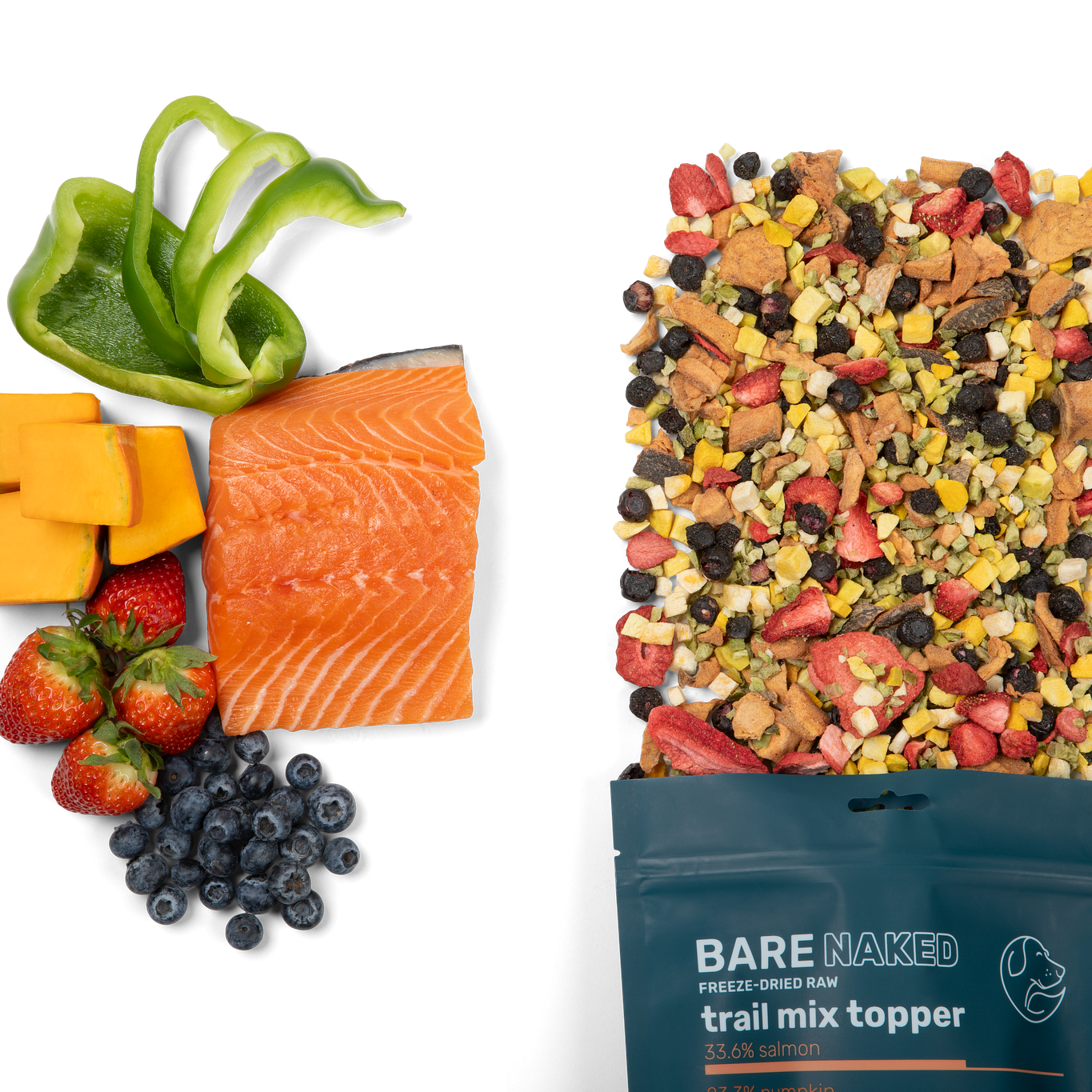Salmon Trail Mix Freeze-Dried Dog Food Topper, 5 Ingredients