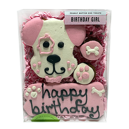 Birthday Girl Peanut Butter Dog Treat Box (4-Pack)