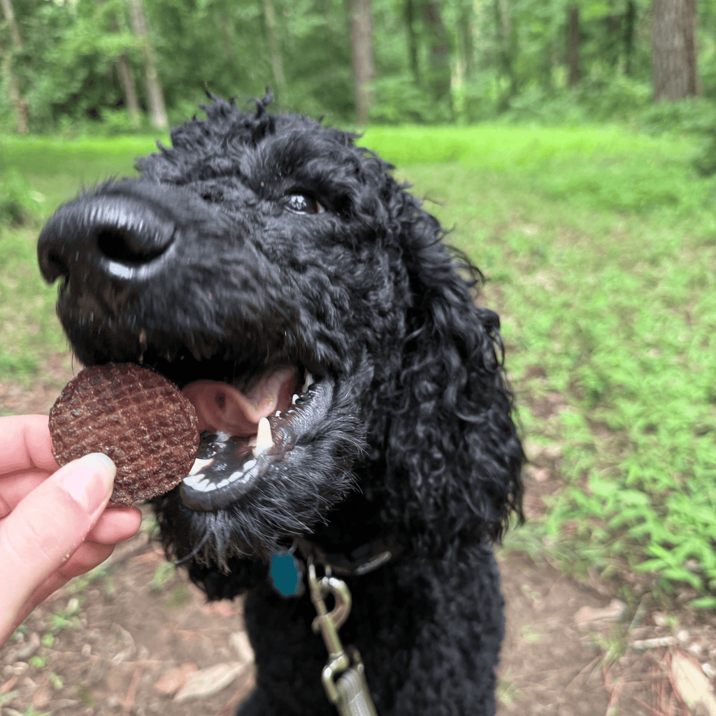 Farm to Pet Beef Chips Dog Treats – Single Ingredient, 100% Beef