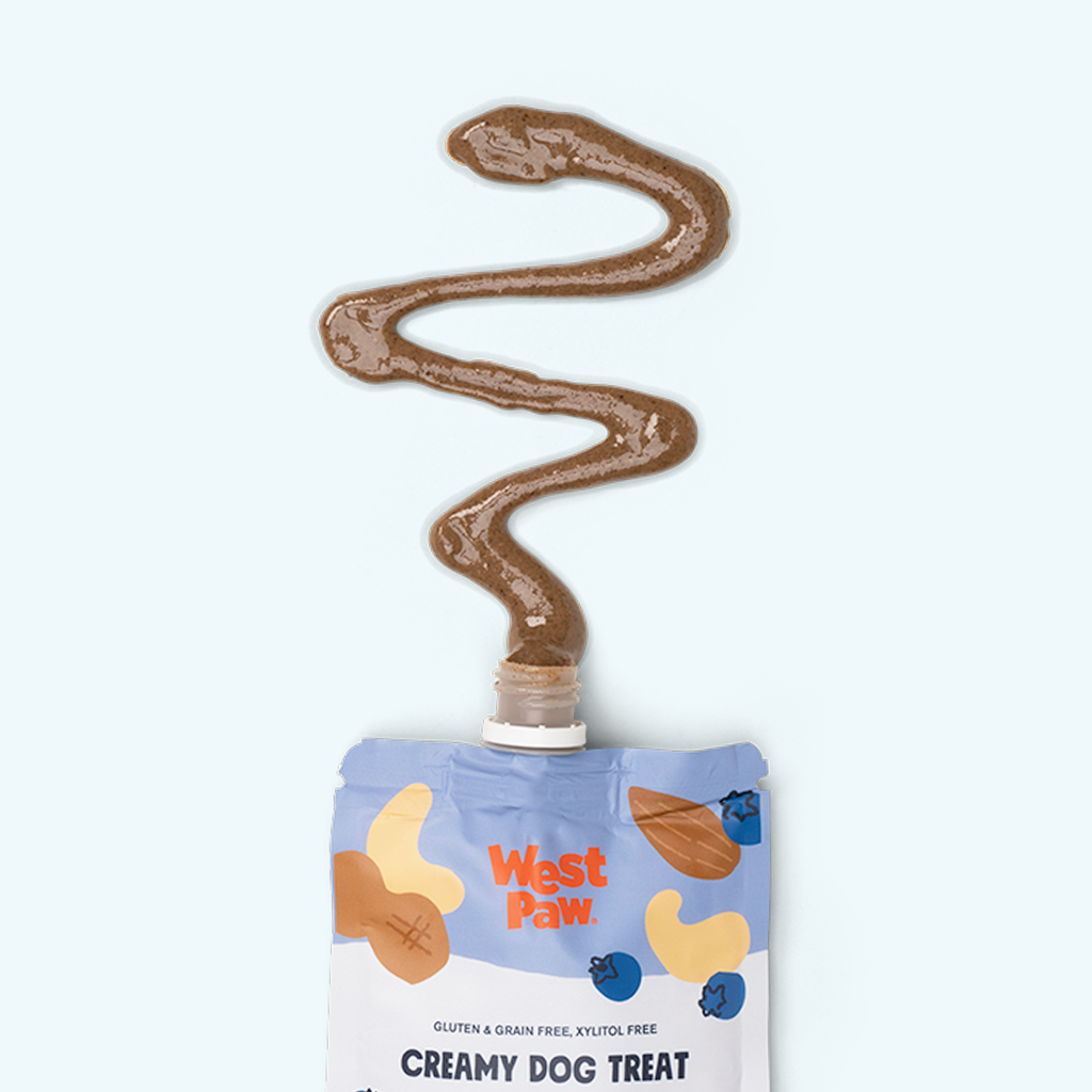 Creamy Nut and Blueberry Dog Treat Spread