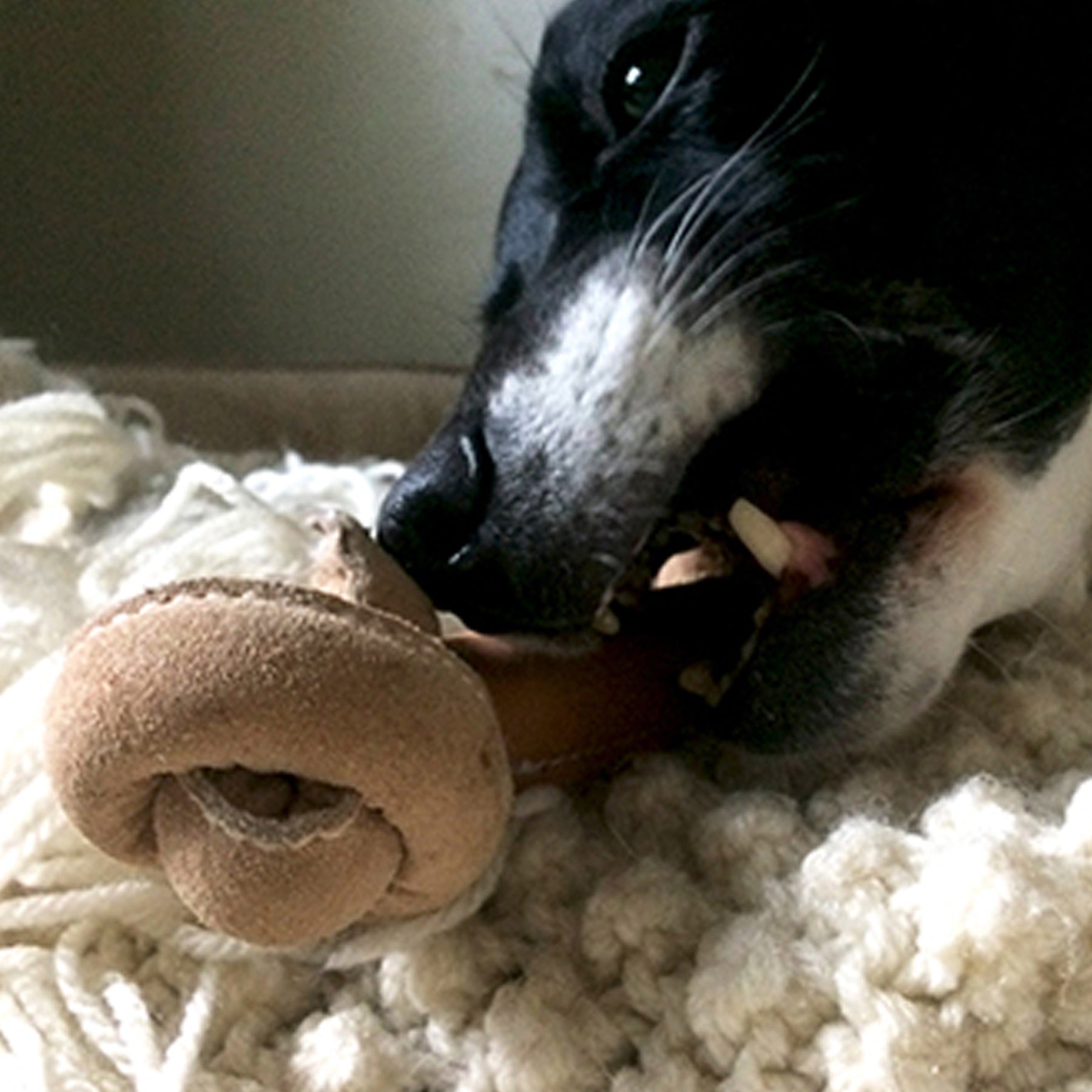 Huggle-Hide Natural Rawhide-Free Dog Bone with Cotton Rope Core