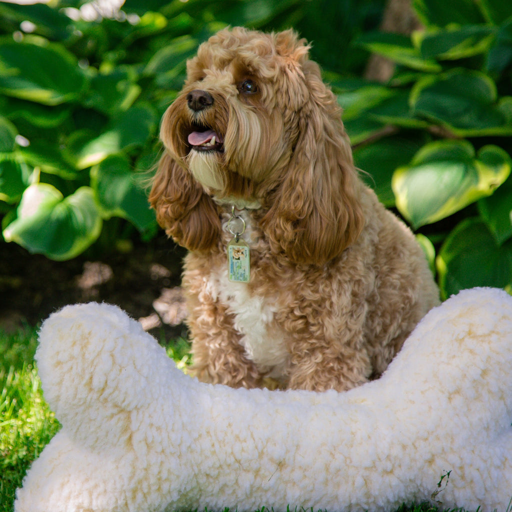 HuggleFleece Bone Dog Toy – Plush Synthetic Lambswool, Squeaker