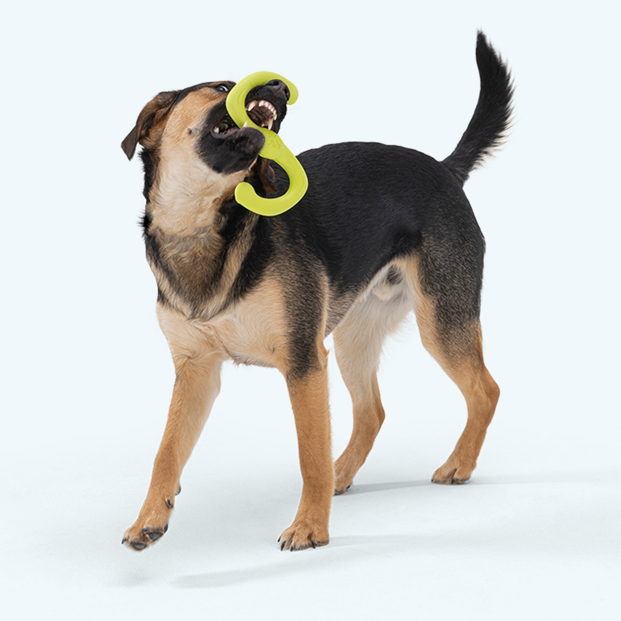 S-Shaped Stretch Dog Toy for Tug and Fetch, Dishwasher Safe