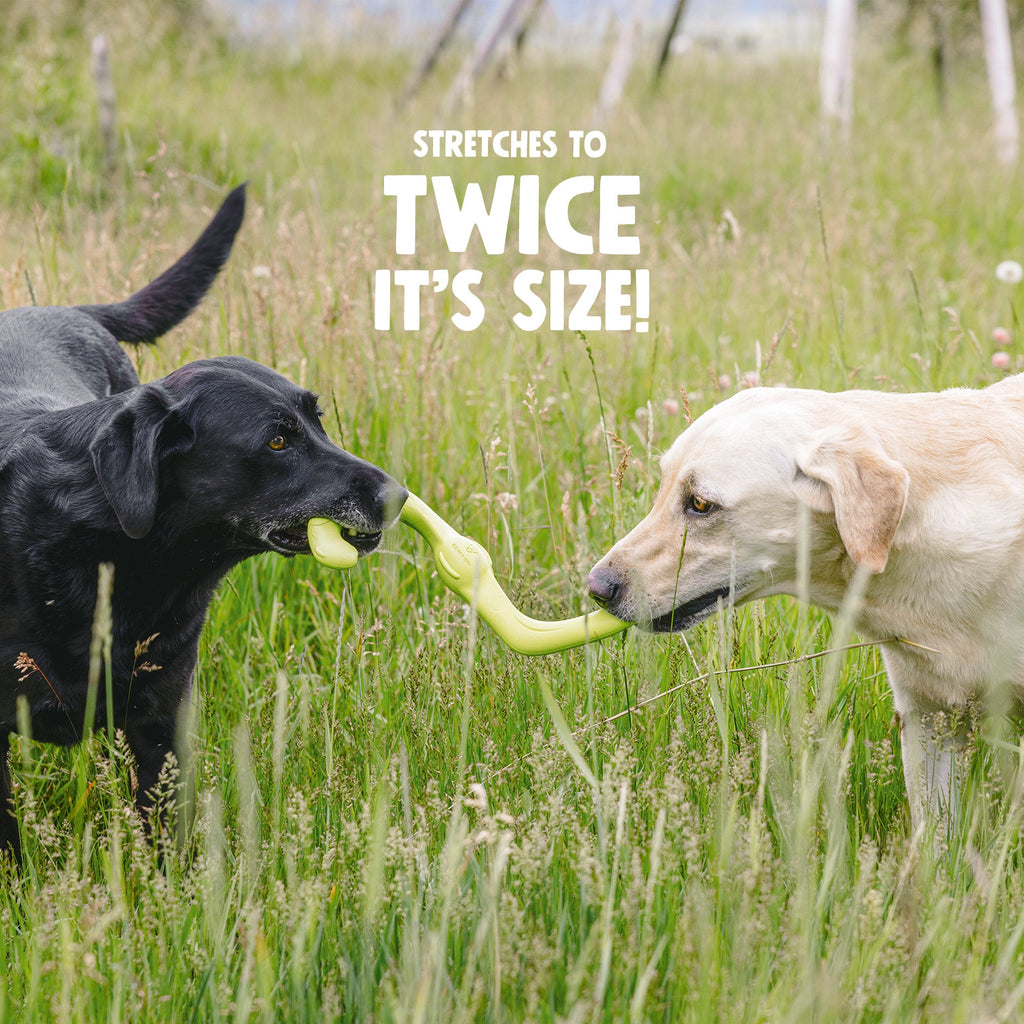 Flexible S-Shaped Dog Toy for Interactive Play, Dishwasher Safe