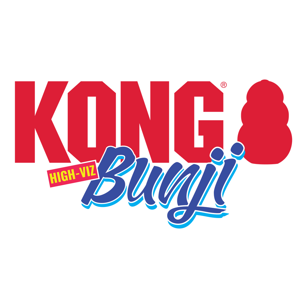 KONG Bunji High-Viz Bumper Dog Fetch Toy with Squeaker