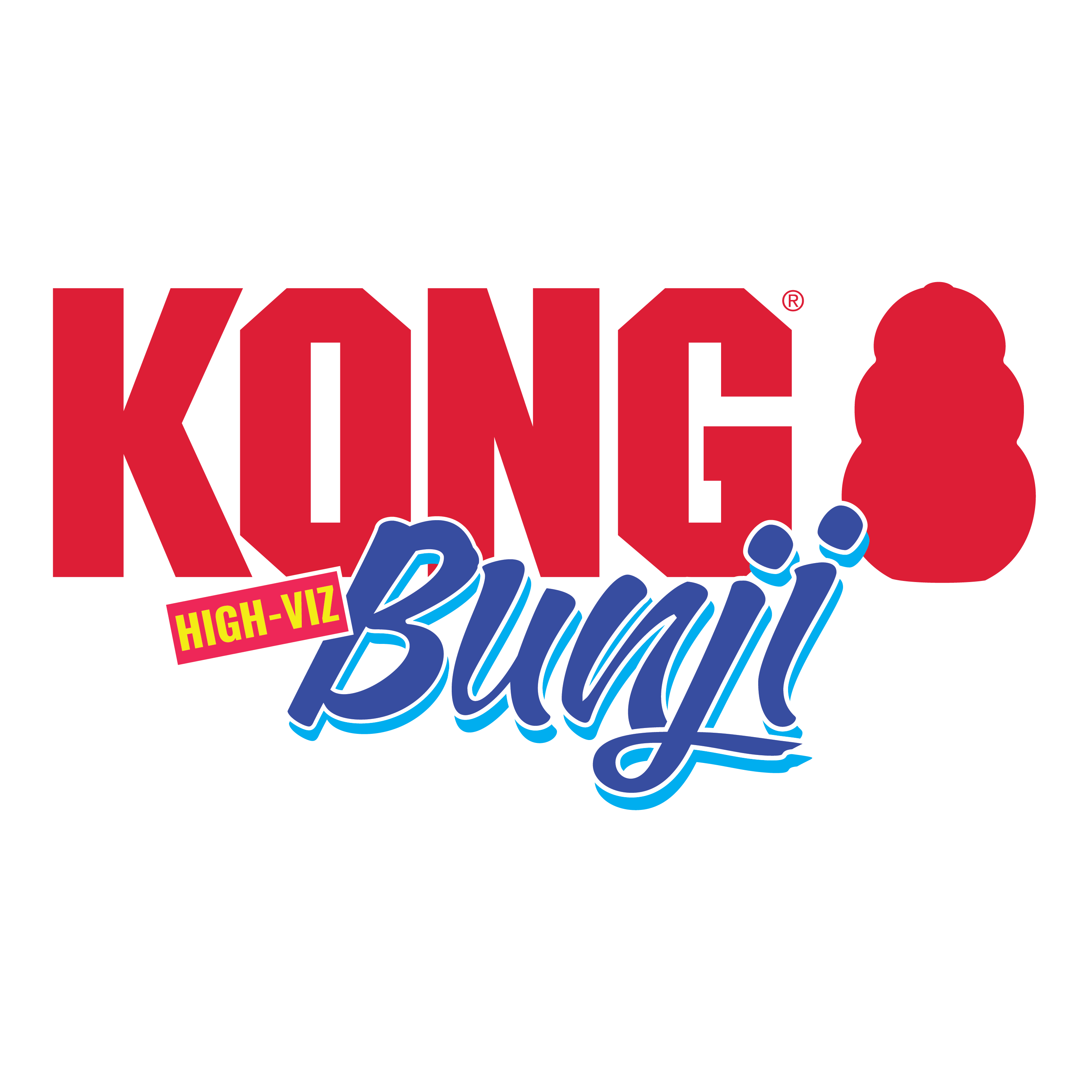 KONG Bunji High-Viz Bumper Dog Fetch Toy with Squeaker