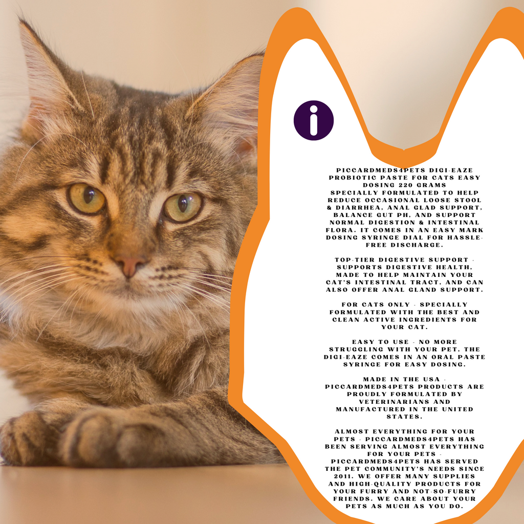 Feline Probiotic Paste with Syringe, 220g + Free Red Bandana