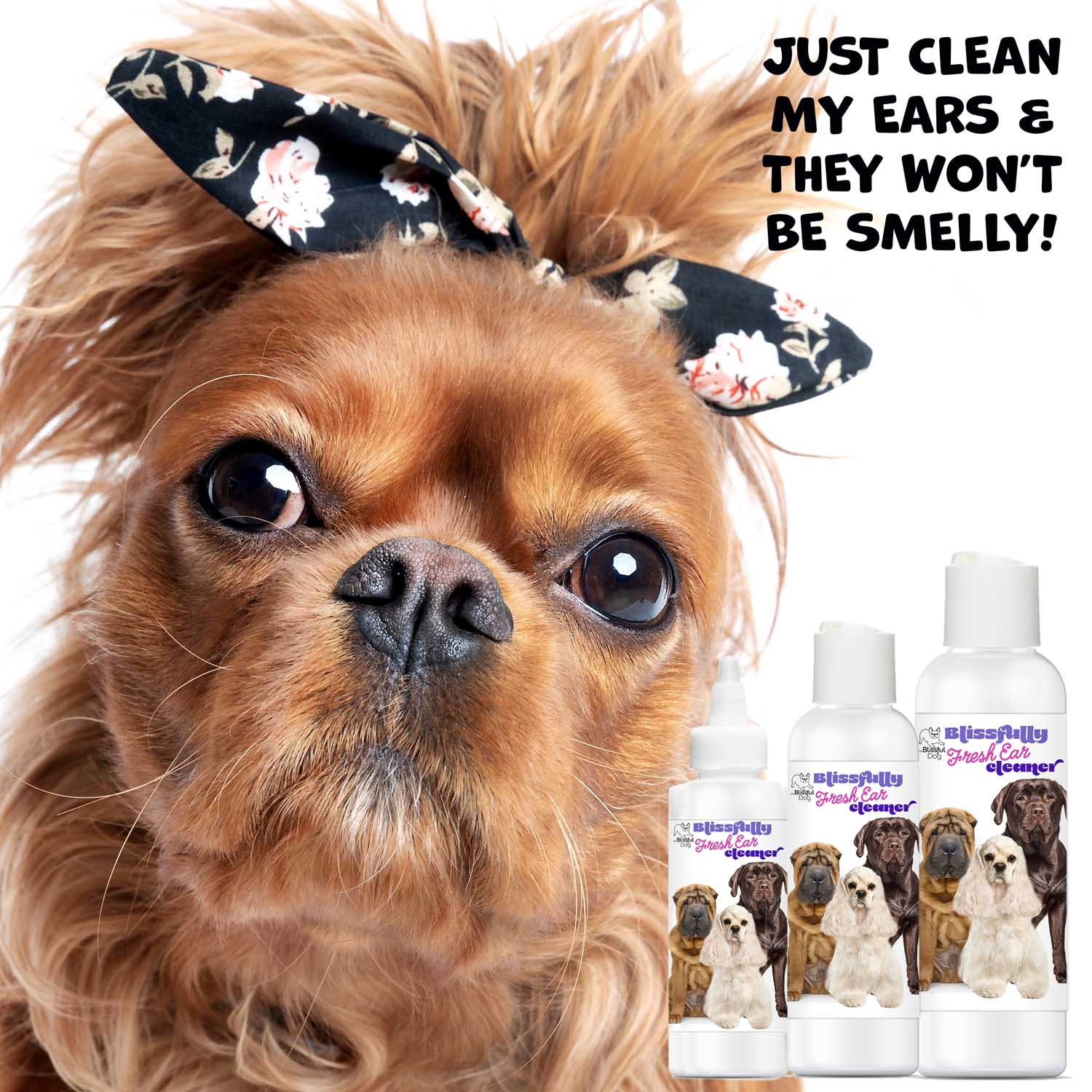 Dog Ear Cleaner with Natural Ingredients for Routine Care