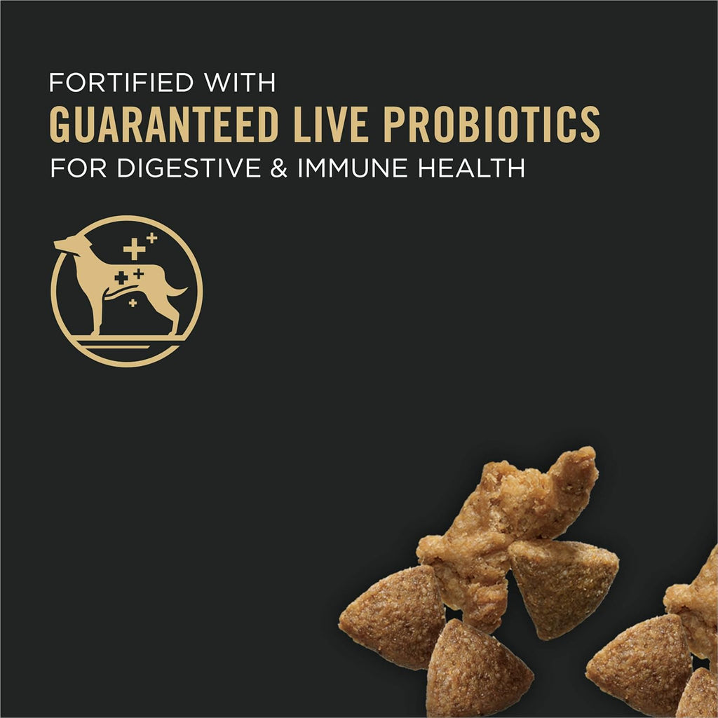 Turkey & Rice Dry Dog Food with Crunchy Kibble and Shredded Pieces