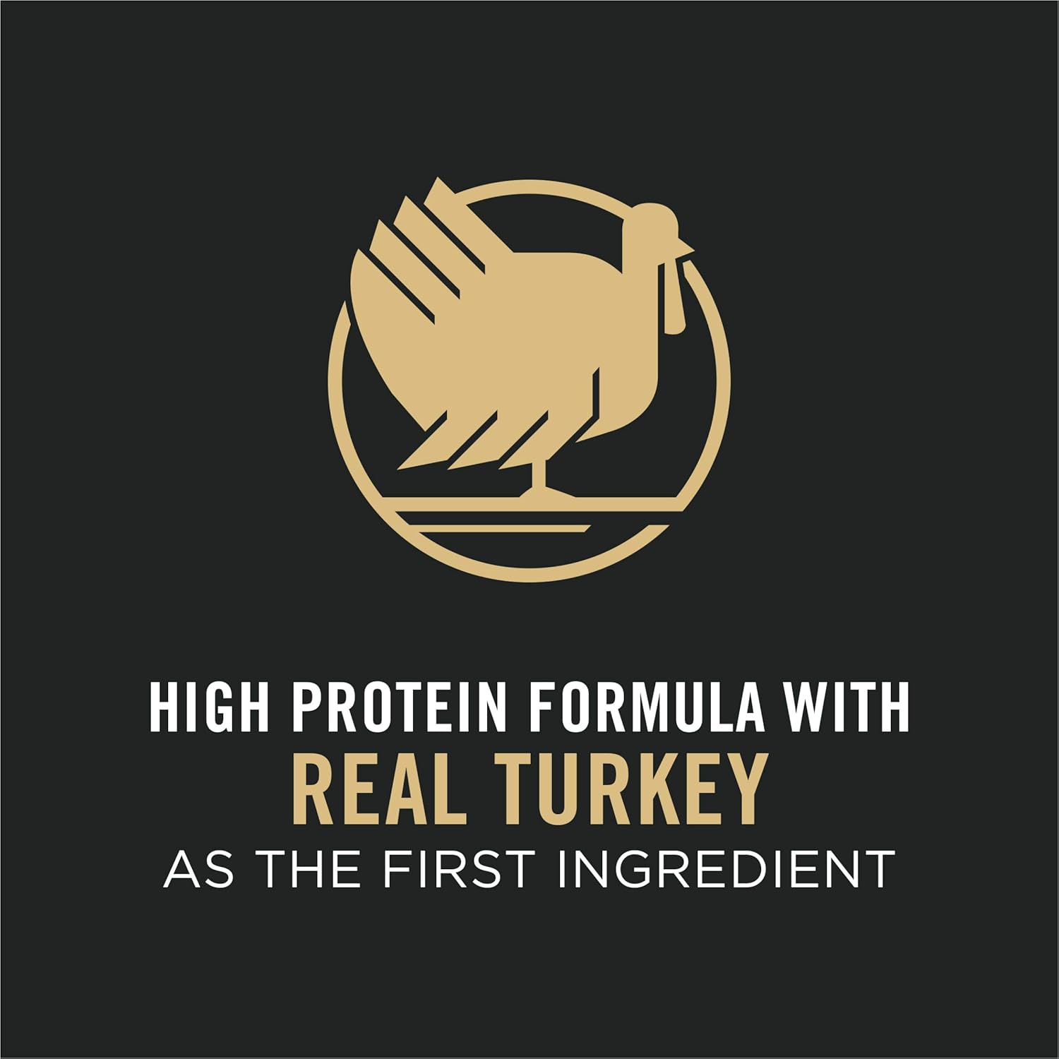 Turkey & Rice Dry Dog Food with Crunchy Kibble and Shredded Pieces