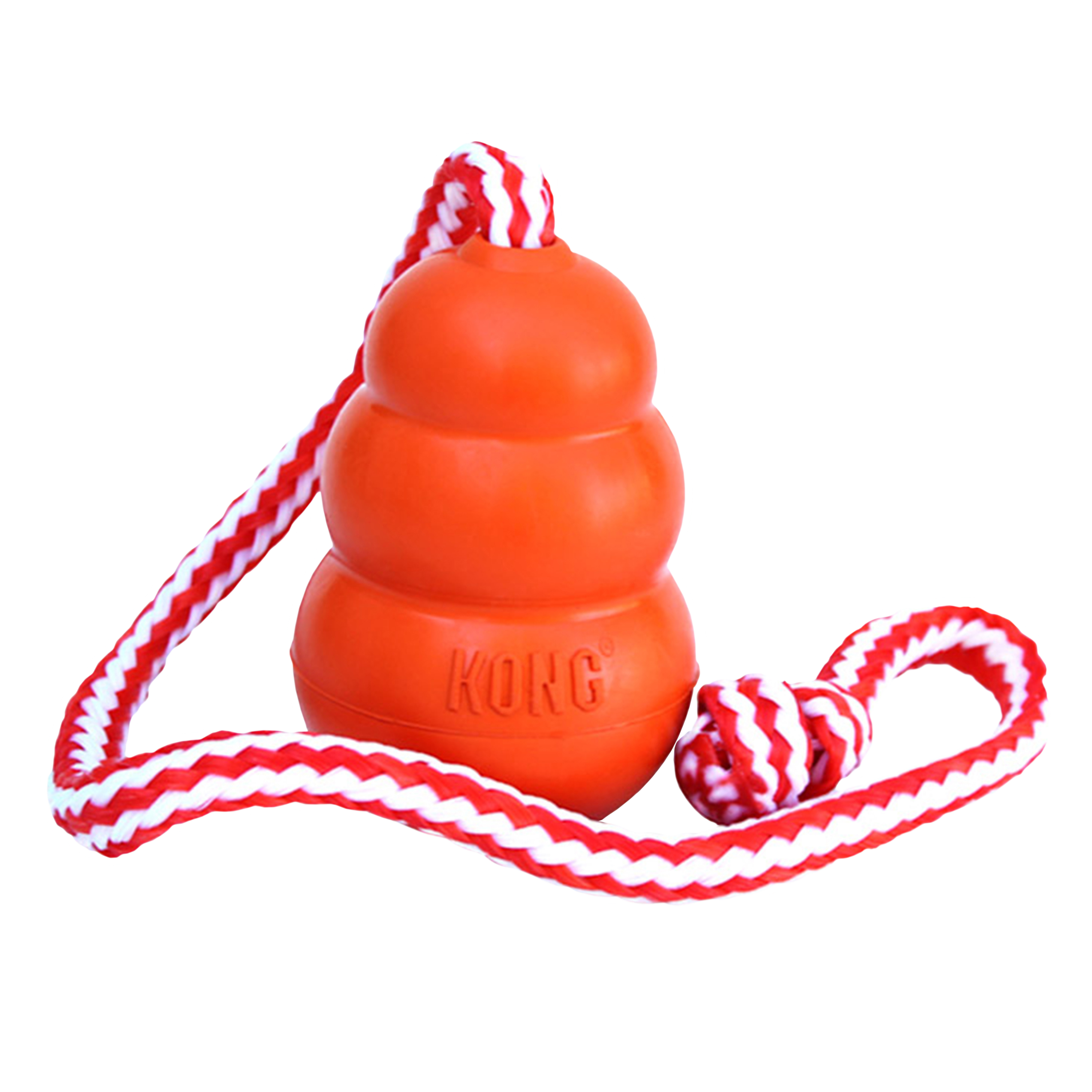 KONG Aqua Floating Dog Toy with Rope Handle