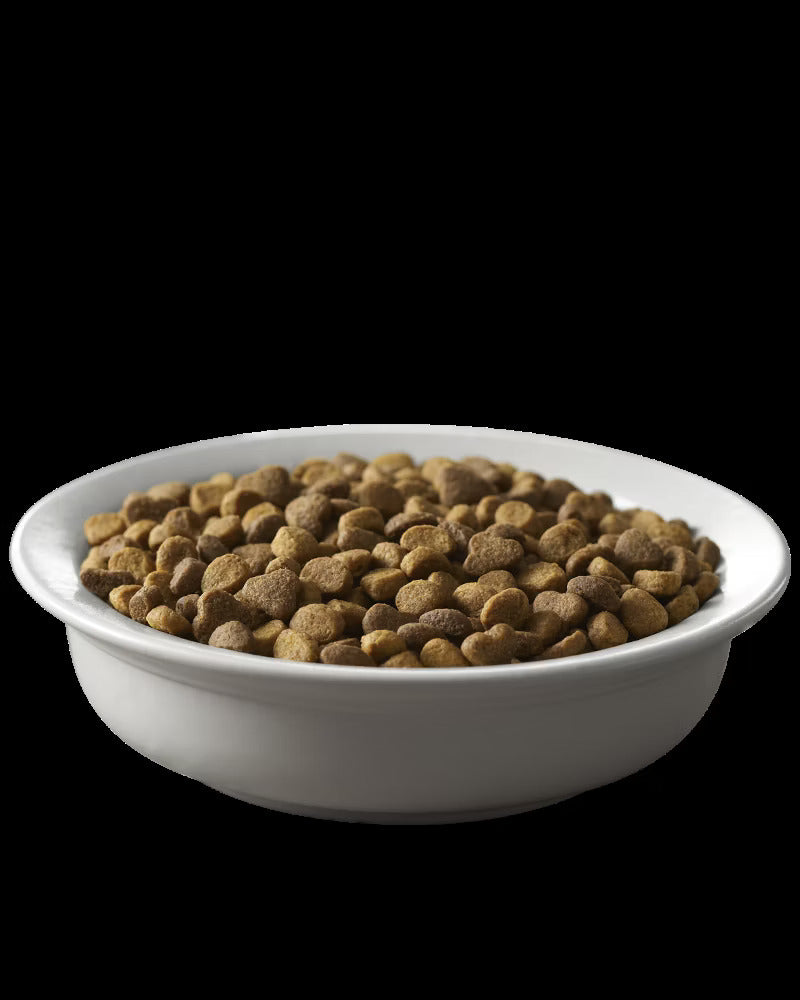 High-Protein Chicken Dry Cat Food with Probiotics and Omega-6