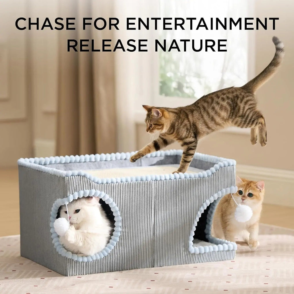 Cat Scratcher House with Removable Sisal Top and Cushion