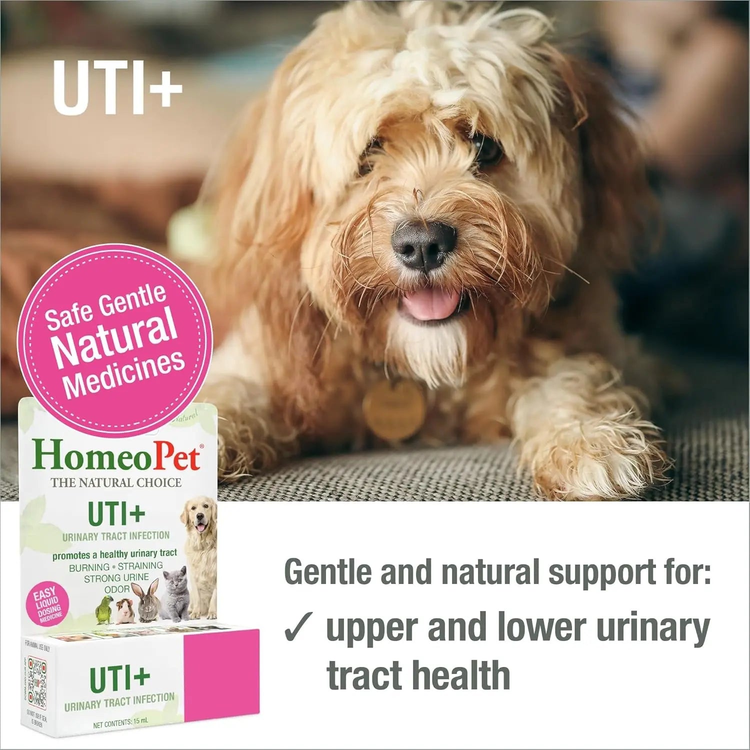 Cat UTI Relief Drops for Urinary and Bladder Support