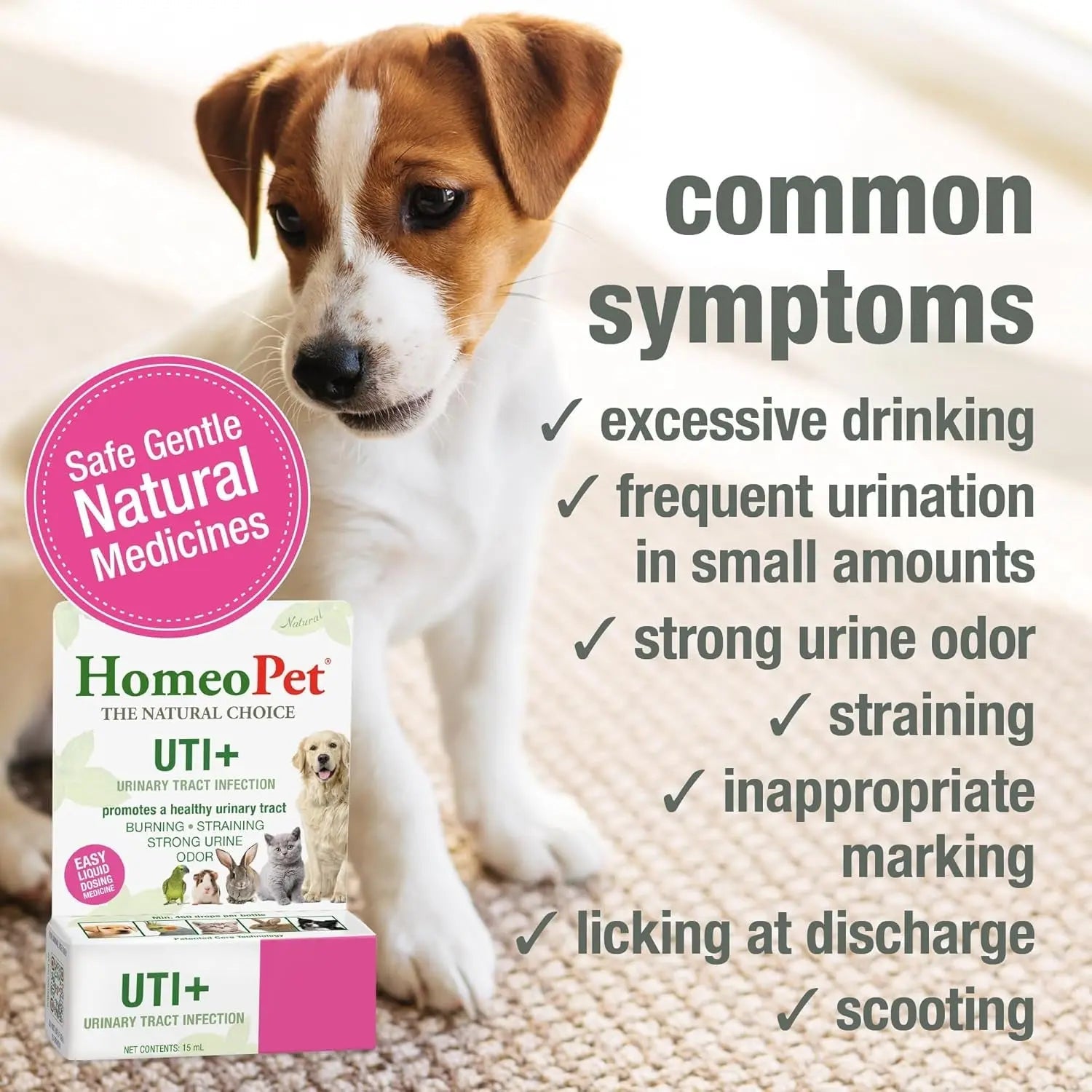 Cat UTI Relief Drops for Urinary and Bladder Support