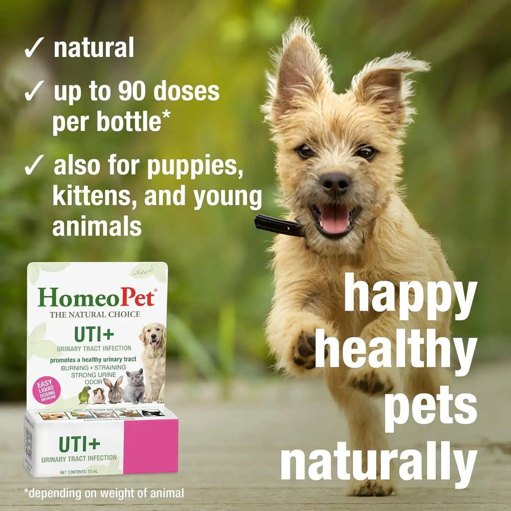 Cat UTI Relief Drops for Urinary and Bladder Support