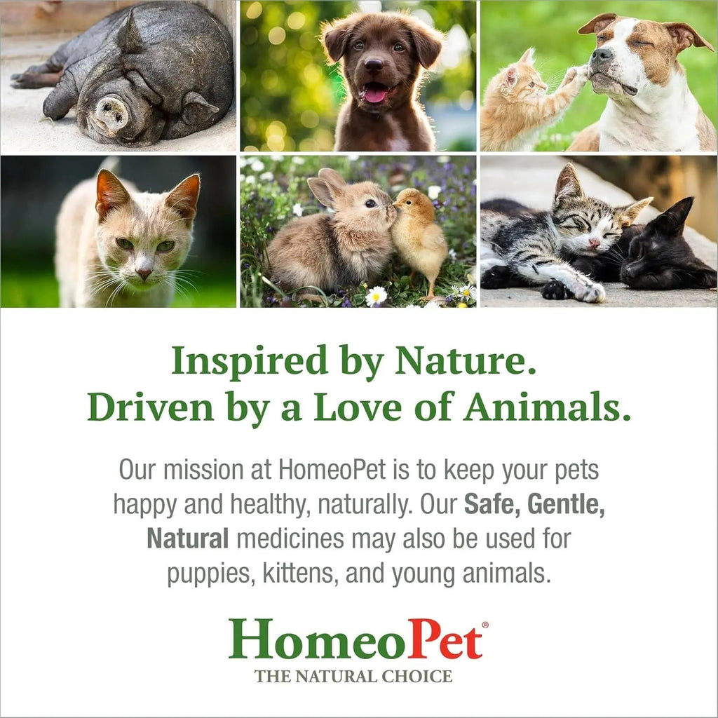 Cat UTI Relief Drops for Urinary and Bladder Support
