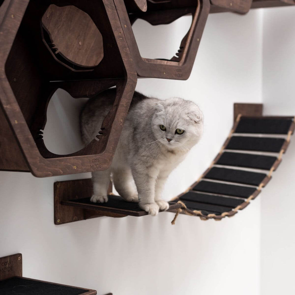 Wooden Cat Bridge with Felt-Covered Stairs, Wall-Mounted, 48.8"