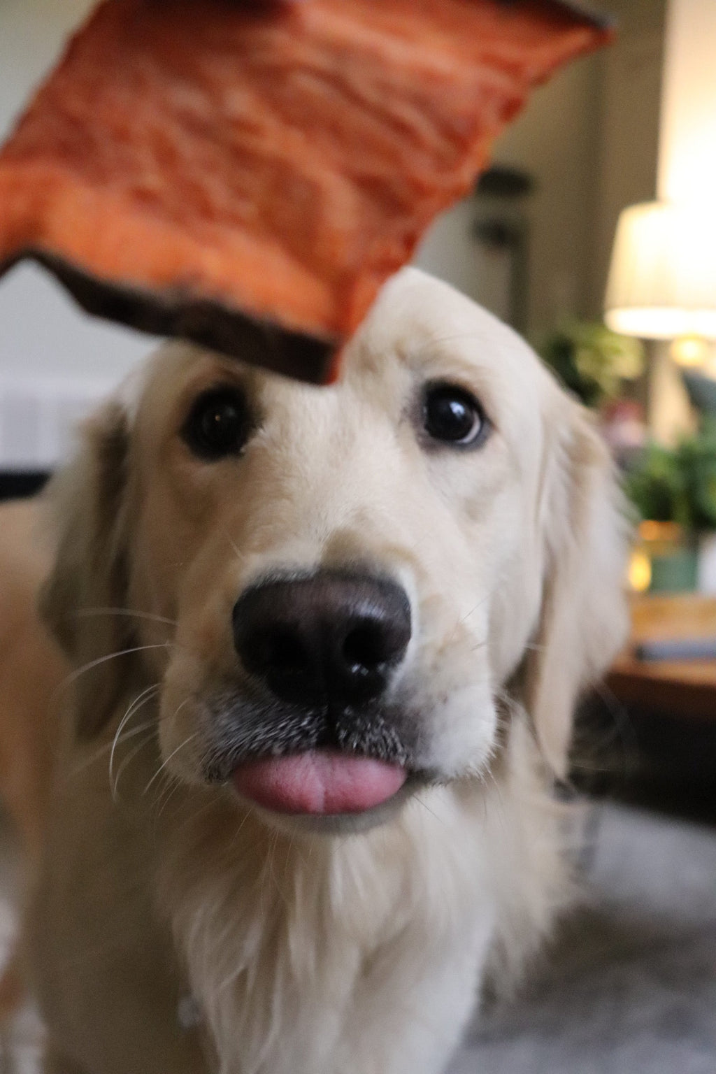 All-Natural Sweet Potato Dog Chews Made in USA