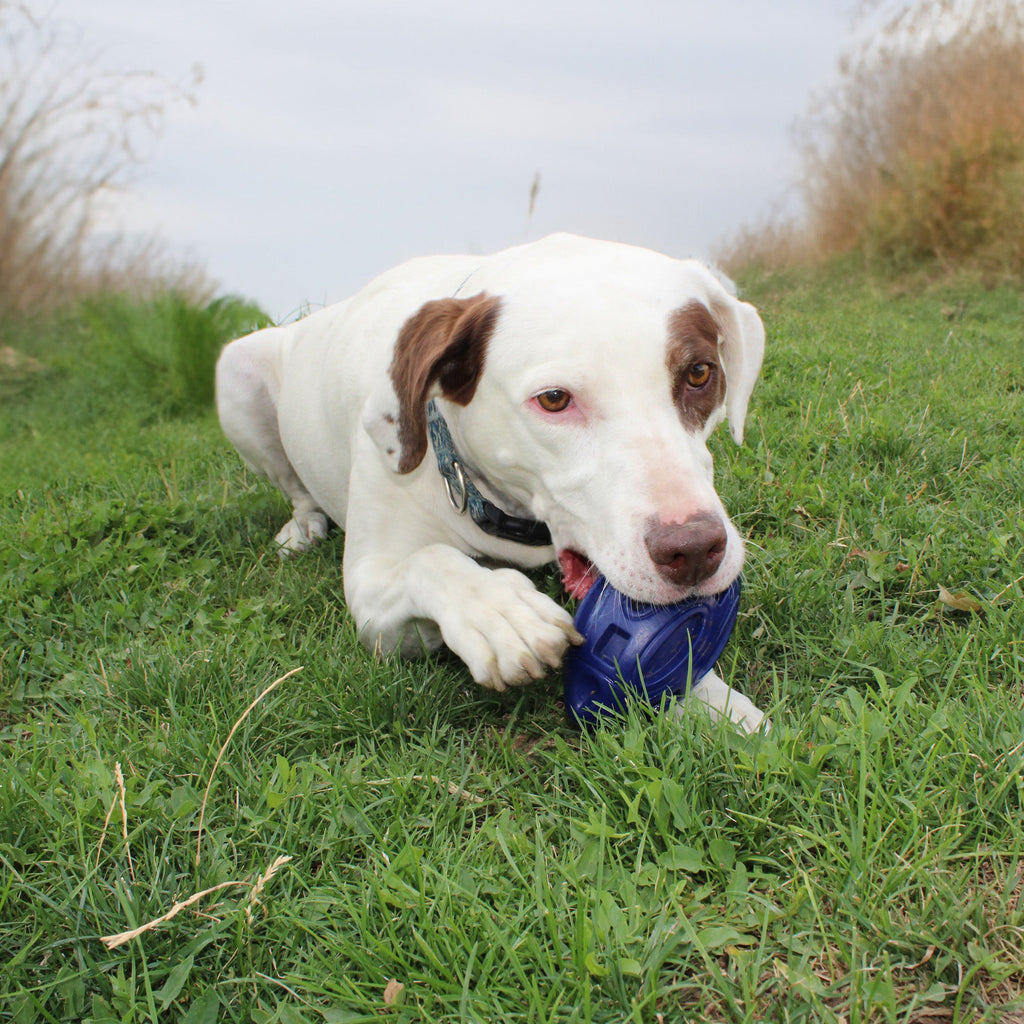 Heavy-Duty Rubber Dog Chew Toy with Squeaker