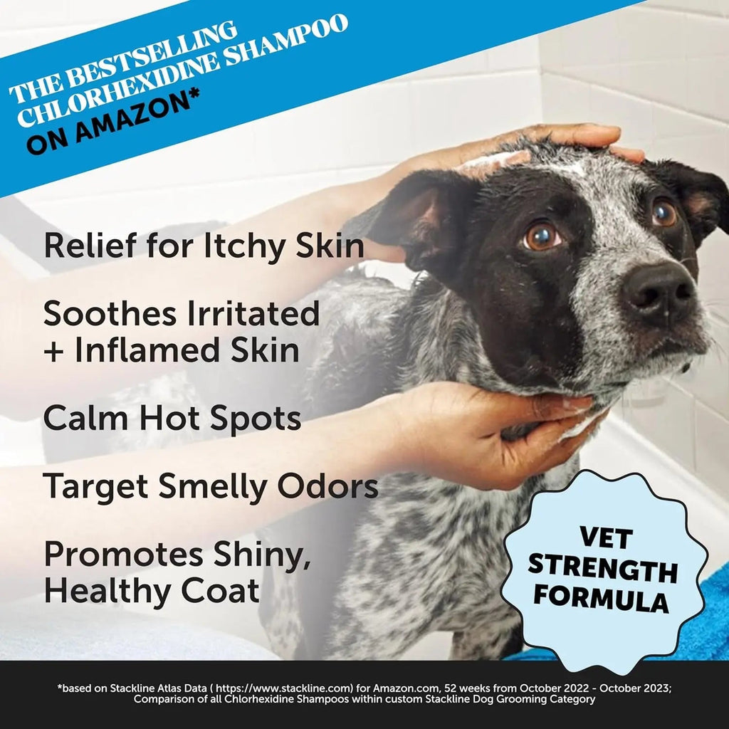 Chlorhexidine Medicated Pet Shampoo for Dogs & Cats, 16 fl oz