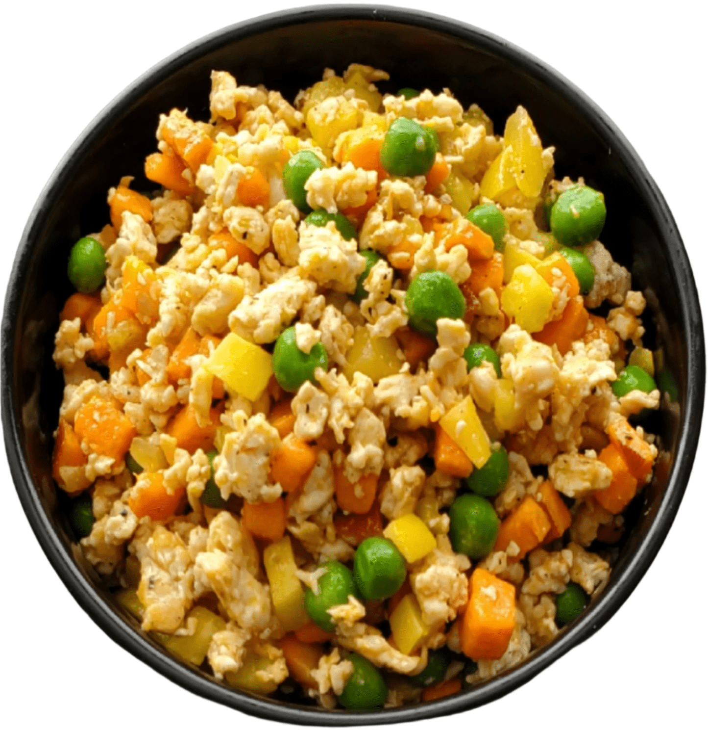 Chicken and Salmon Combo Dog Food, 8oz Portion