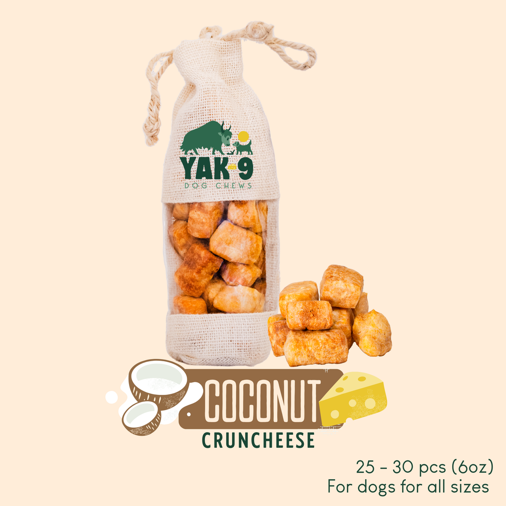 Coconut Cheese Dog Chews with Yak and Cow Milk