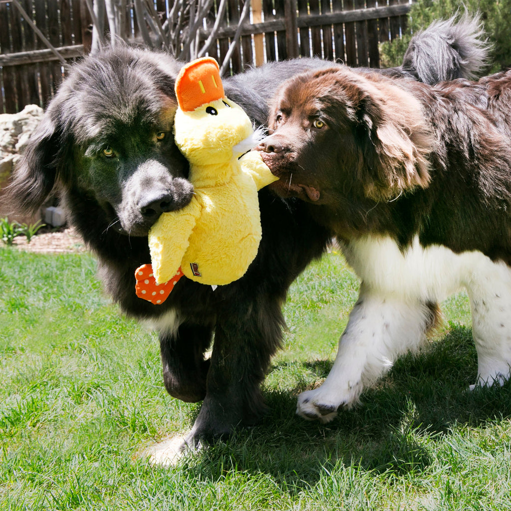 KONG Comfort Jumbo Extra-Large Plush Dog Toy