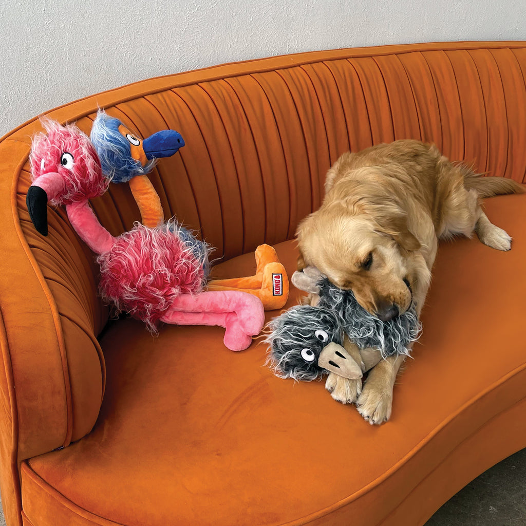 KONG Comfort Jumbo Bird Plush Dog Toy