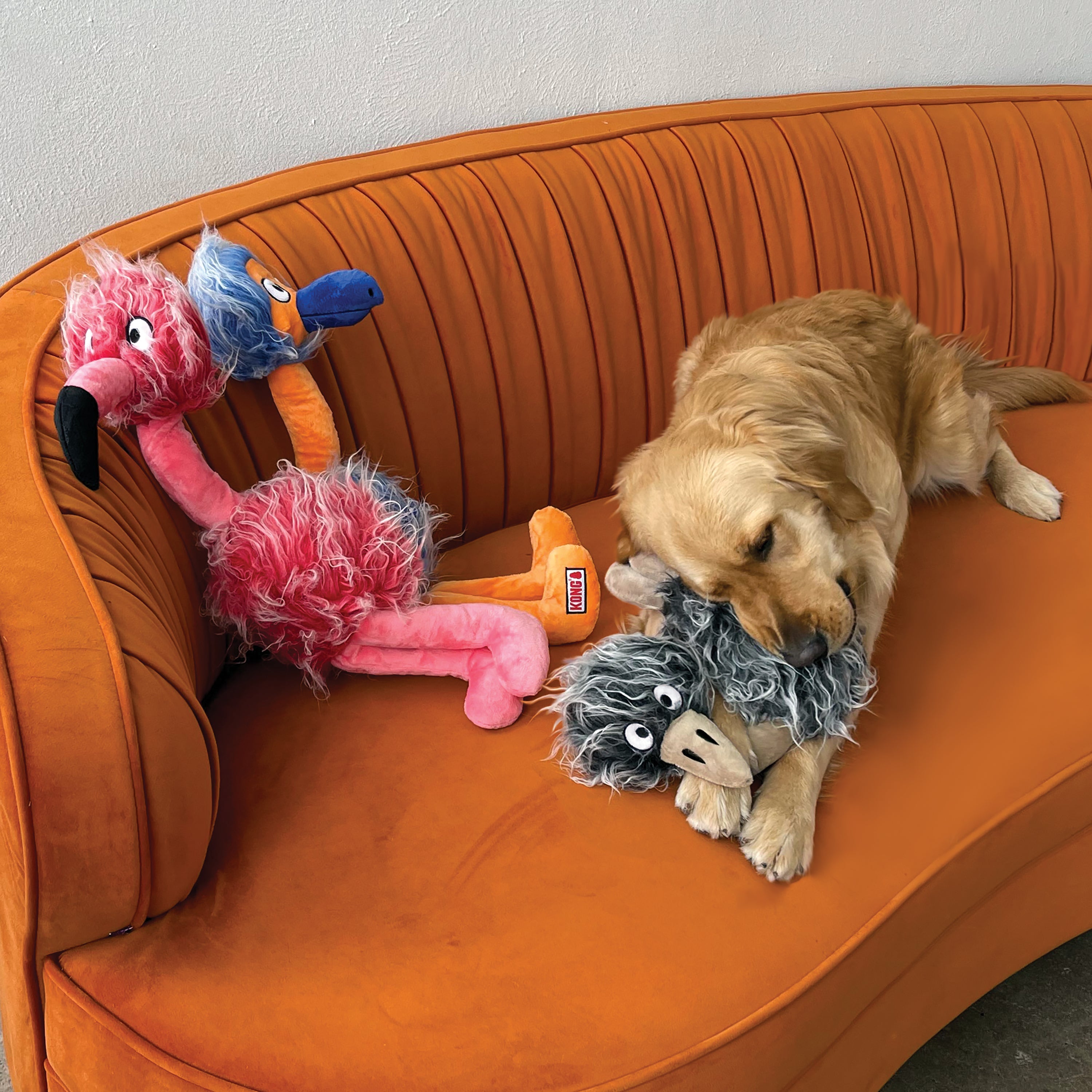KONG Comfort Jumbo Bird Plush Dog Toy