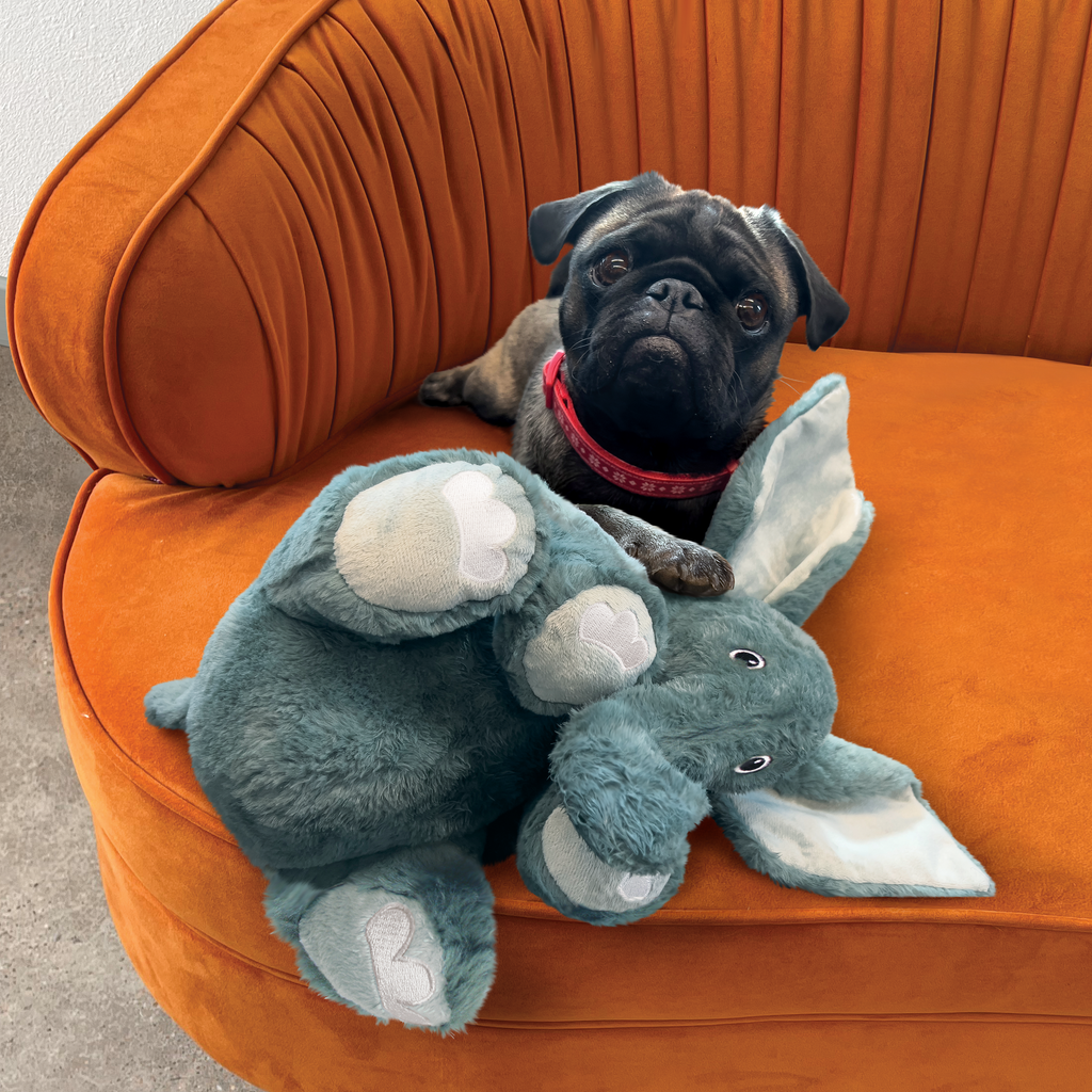 KONG Comfort Kiddos Jumbo Elephant Plush Dog Toy