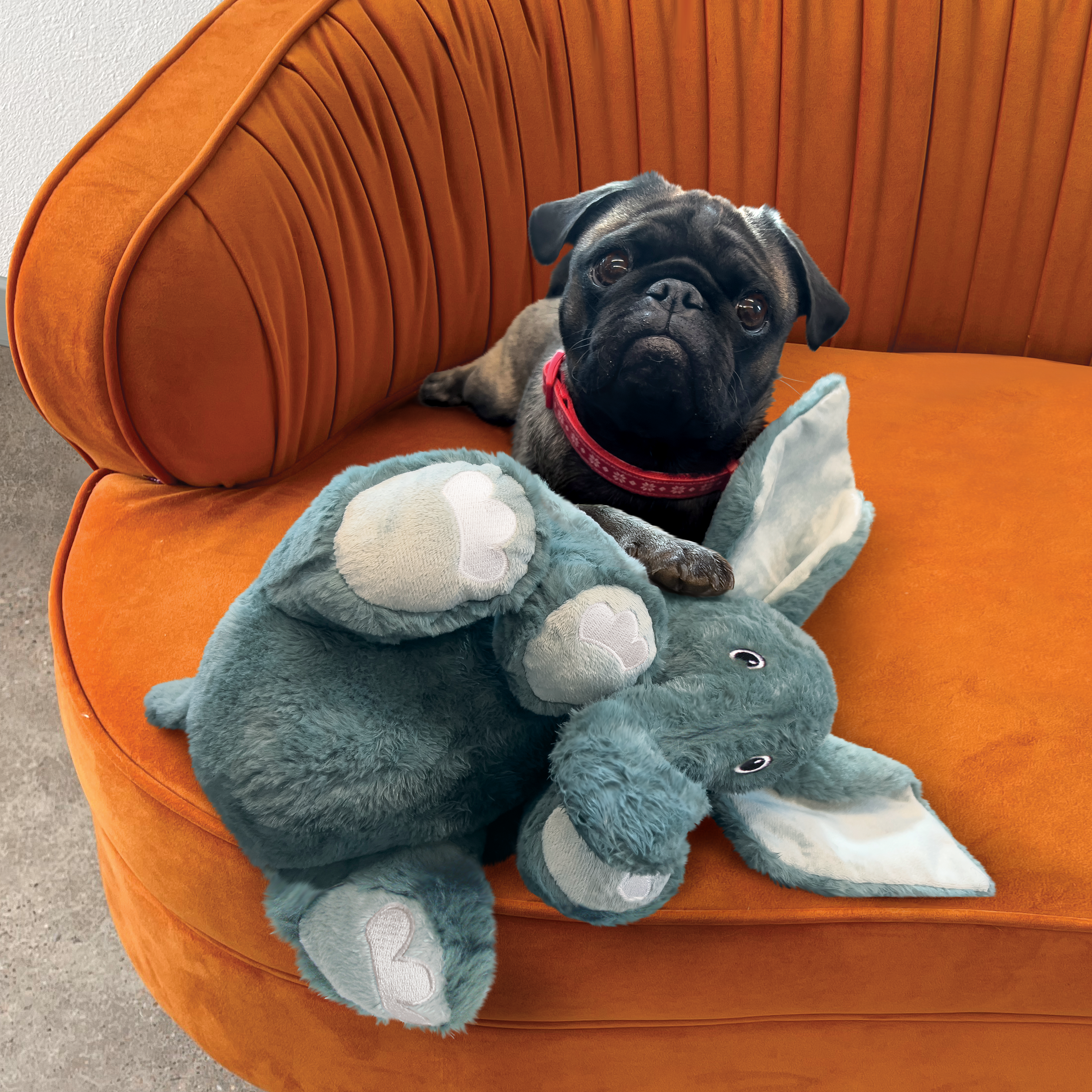 KONG Comfort Kiddos Jumbo Elephant Plush Dog Toy