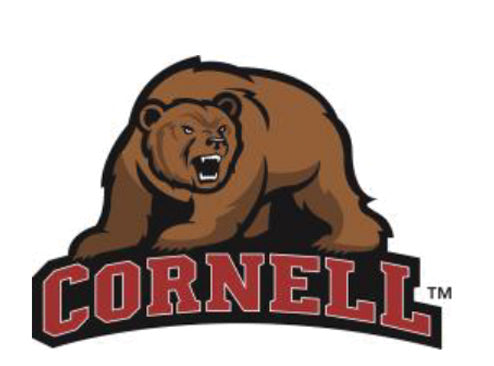 Cornell University Big Red Bear Knottie Plush Dog Toy, Large