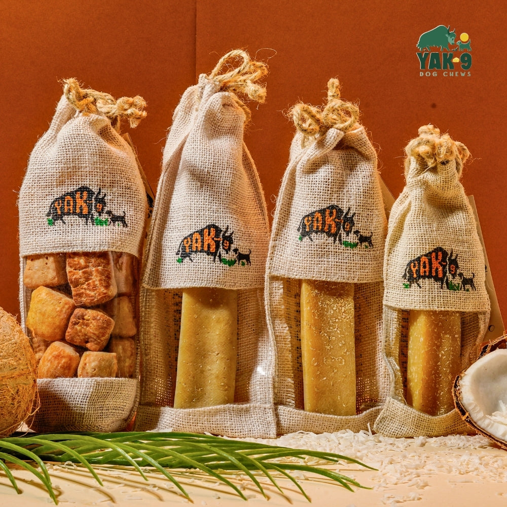 Coconut Cheese Dog Chews with Yak and Cow Milk