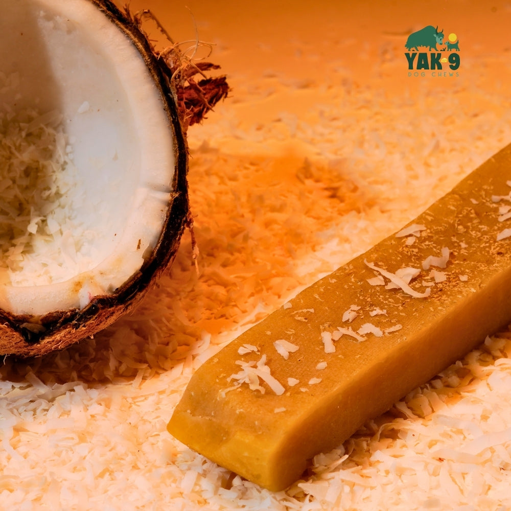 Coconut Cheese Dog Chews with Yak and Cow Milk