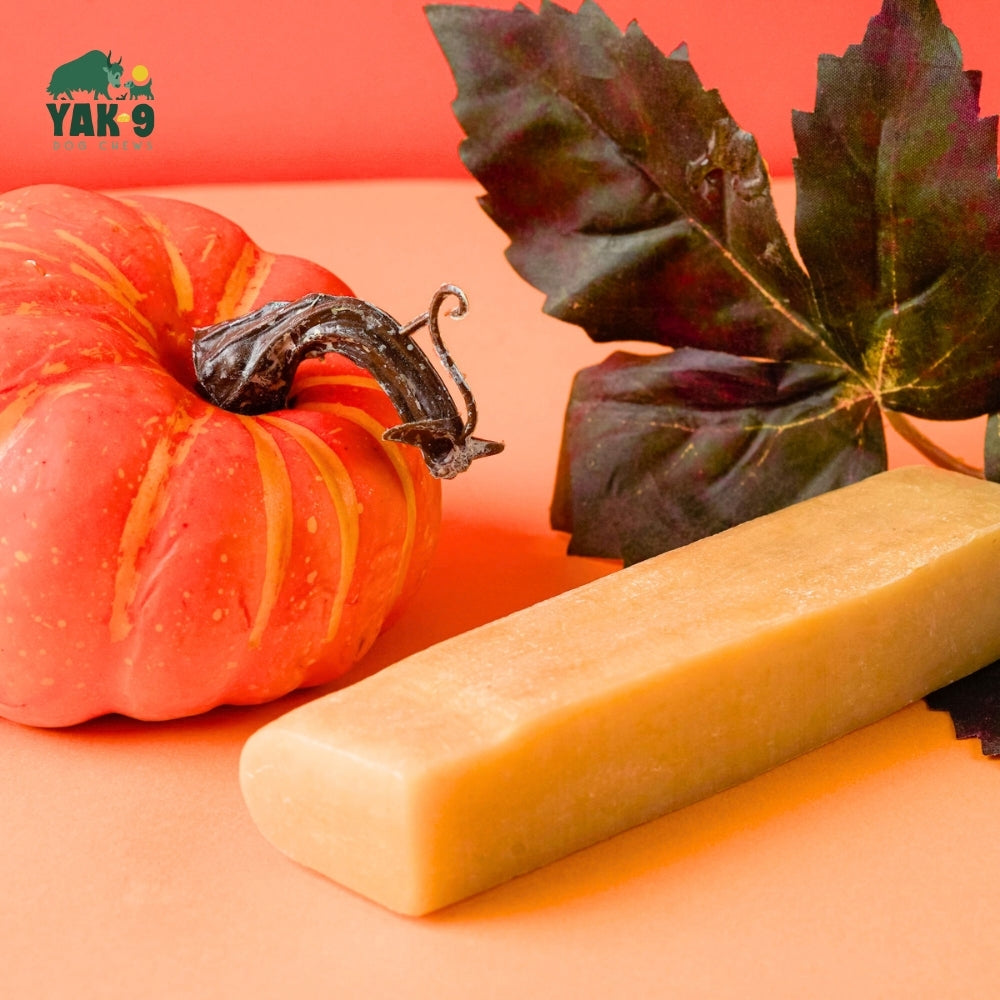 Pumpkin Yak Cheese Dog Chews with Organic Pumpkin