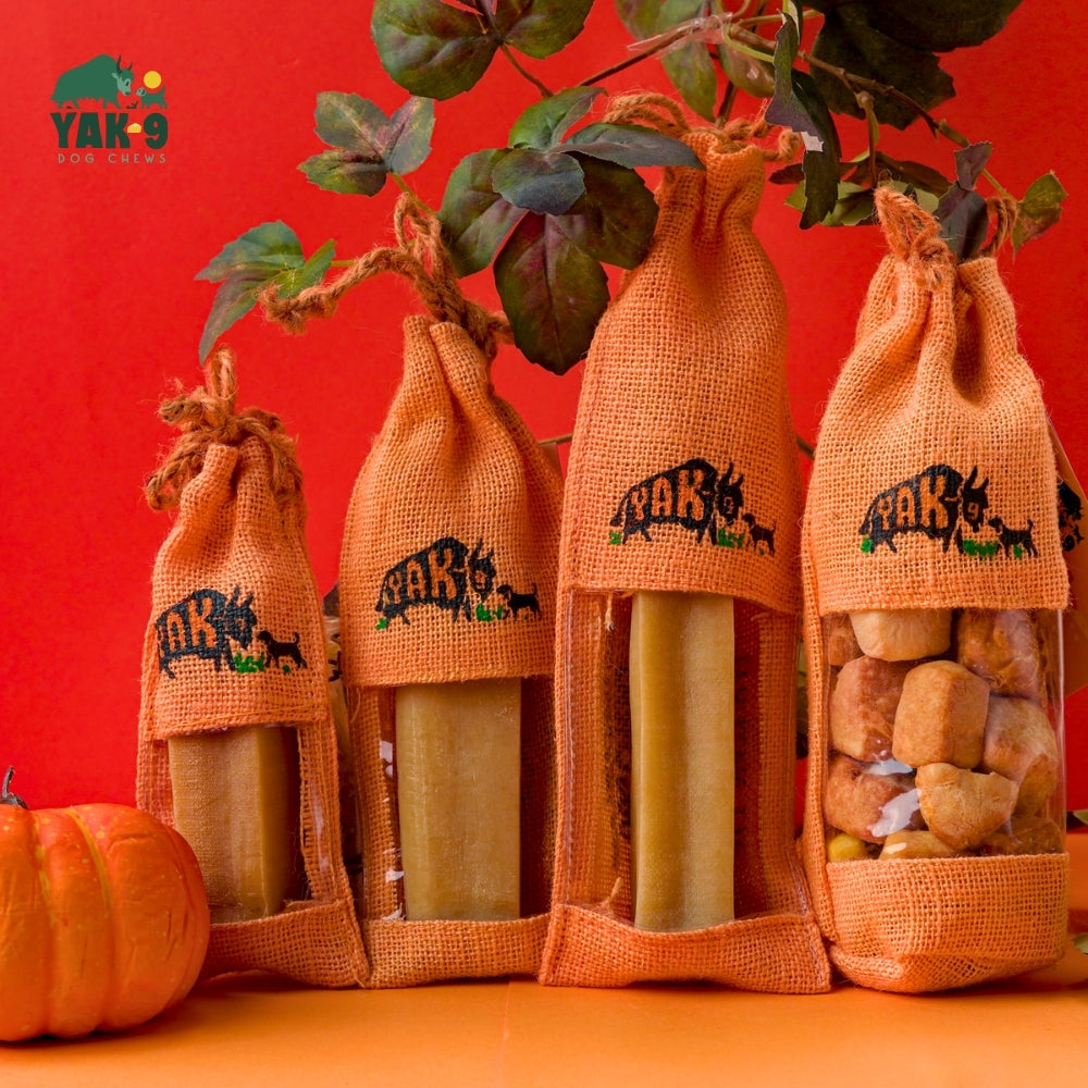 Pumpkin Yak Cheese Dog Chews with Organic Pumpkin