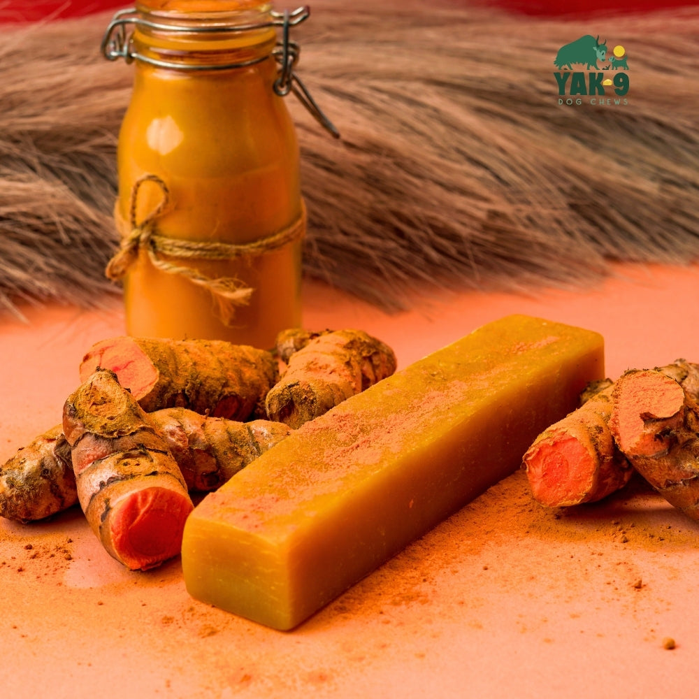 Turmeric Yak Cheese Dog Chews