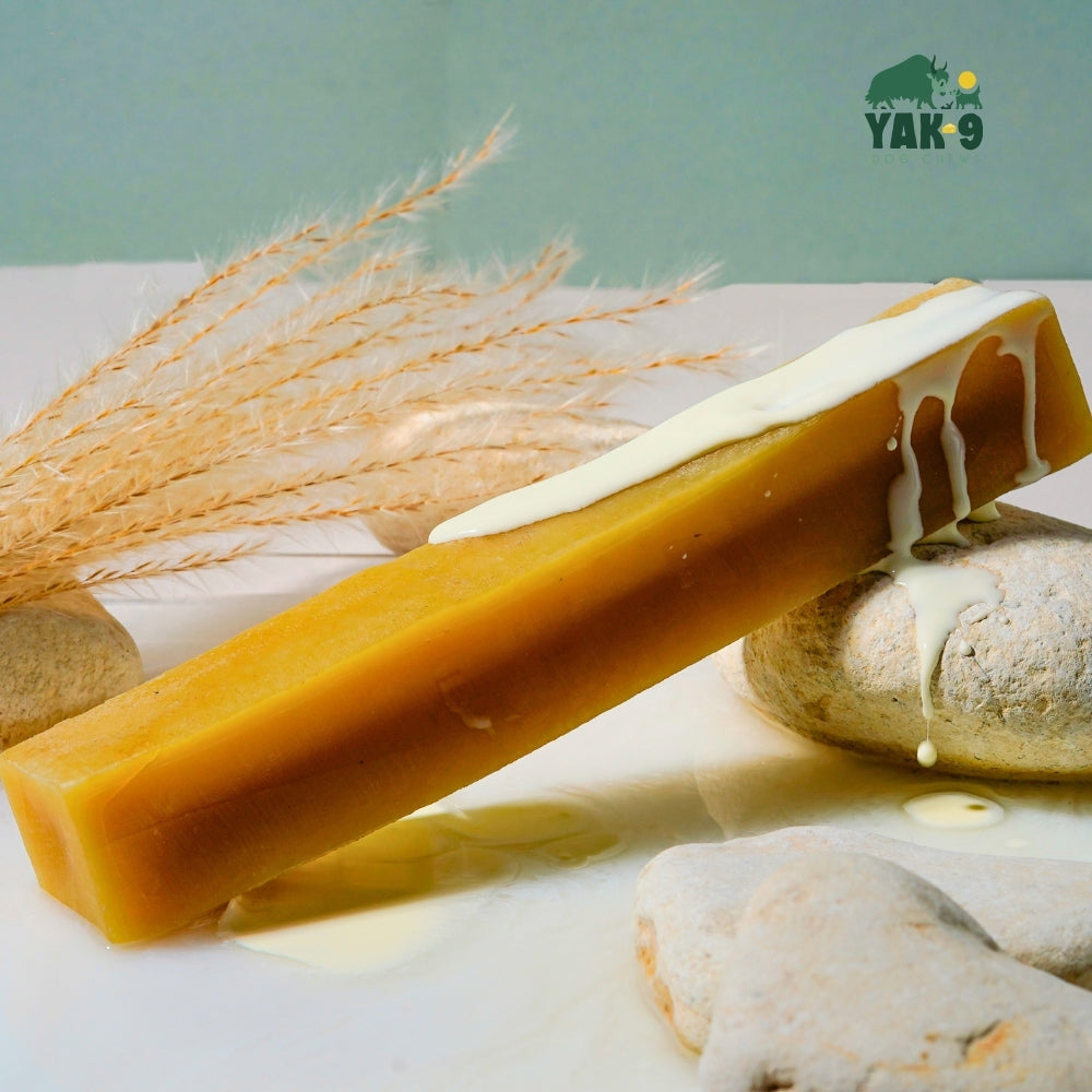 Himalayan Yak and Cow Milk Dog Chew