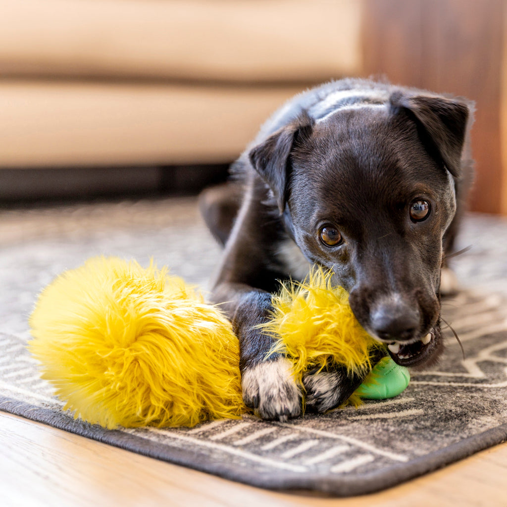 Rowdies Durable Plush Dog Toy for Tough Play