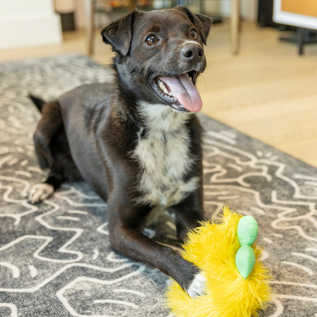 Rowdies Durable Plush Dog Toy with Reinforced Fabric