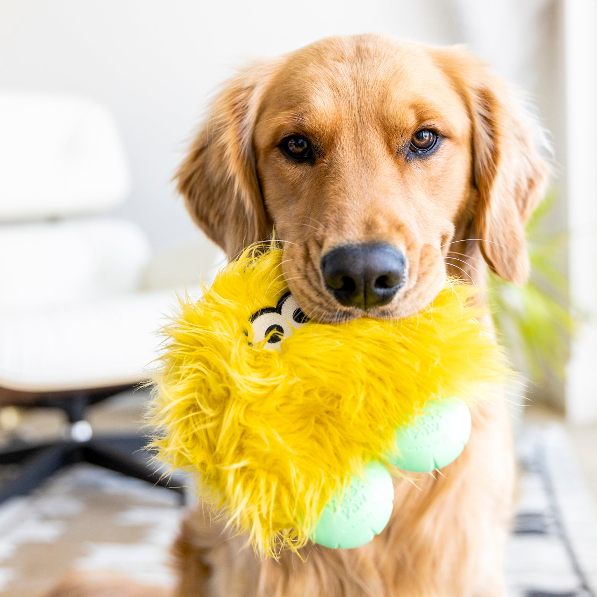 Rowdies Durable Plush Dog Toy with Reinforced Fabric