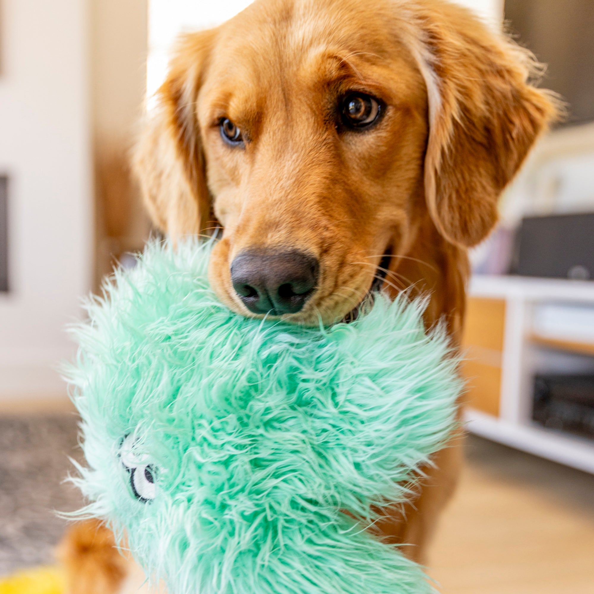 Rowdies Durable Plush Dog Toy for Tough Chewers