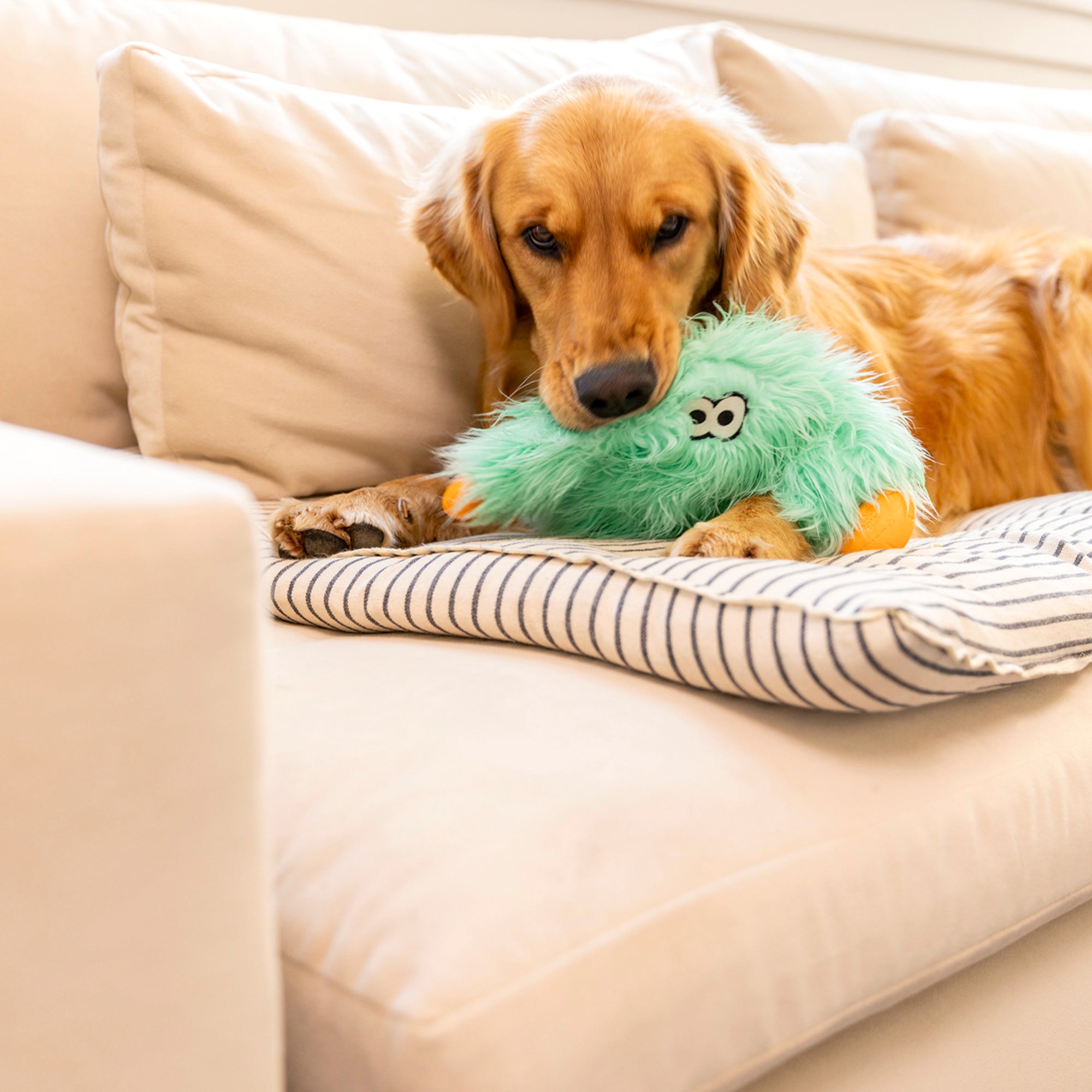 Rowdies Durable Plush Dog Toy for Tough Chewers
